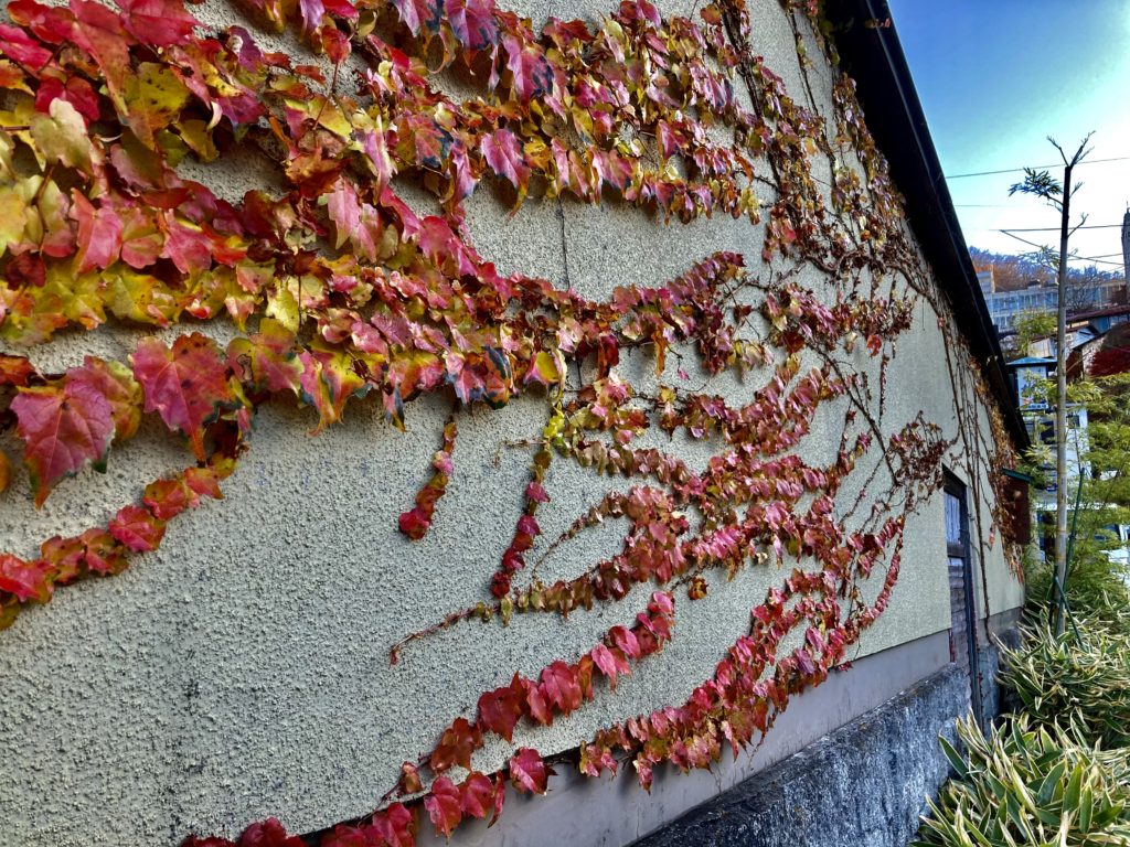 伊香保温泉観光の伊香保の風景　紅葉