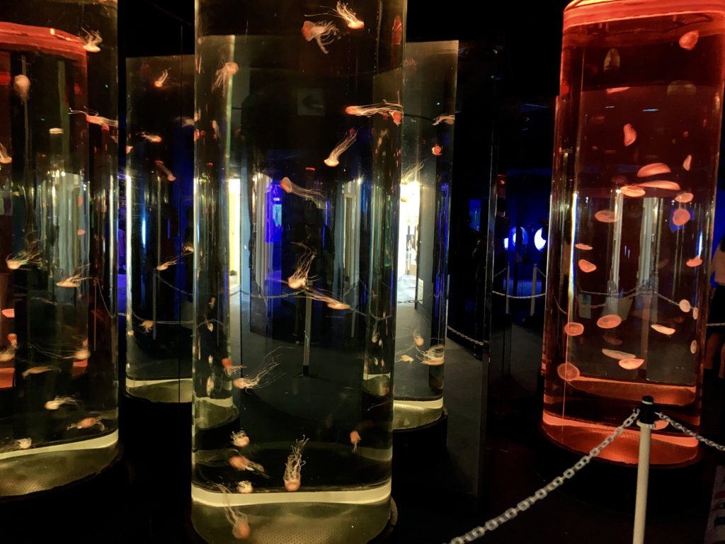 のとじま水族館のクラゲの光のアート