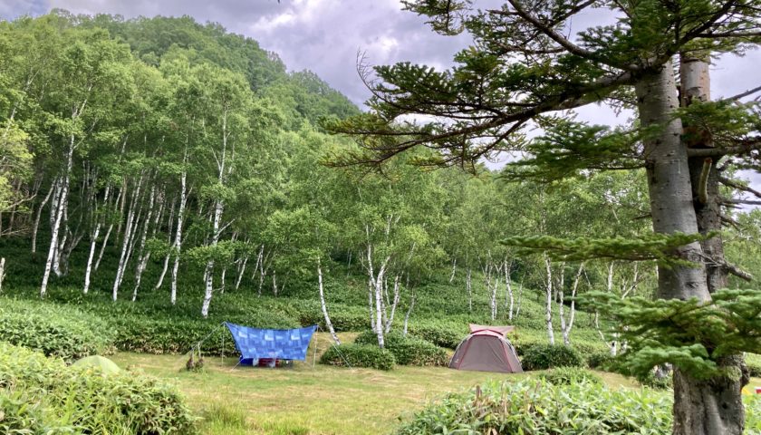 軽キャンピングトレーラーの幌馬車くんで行く志賀高原の木戸池キャンプ場