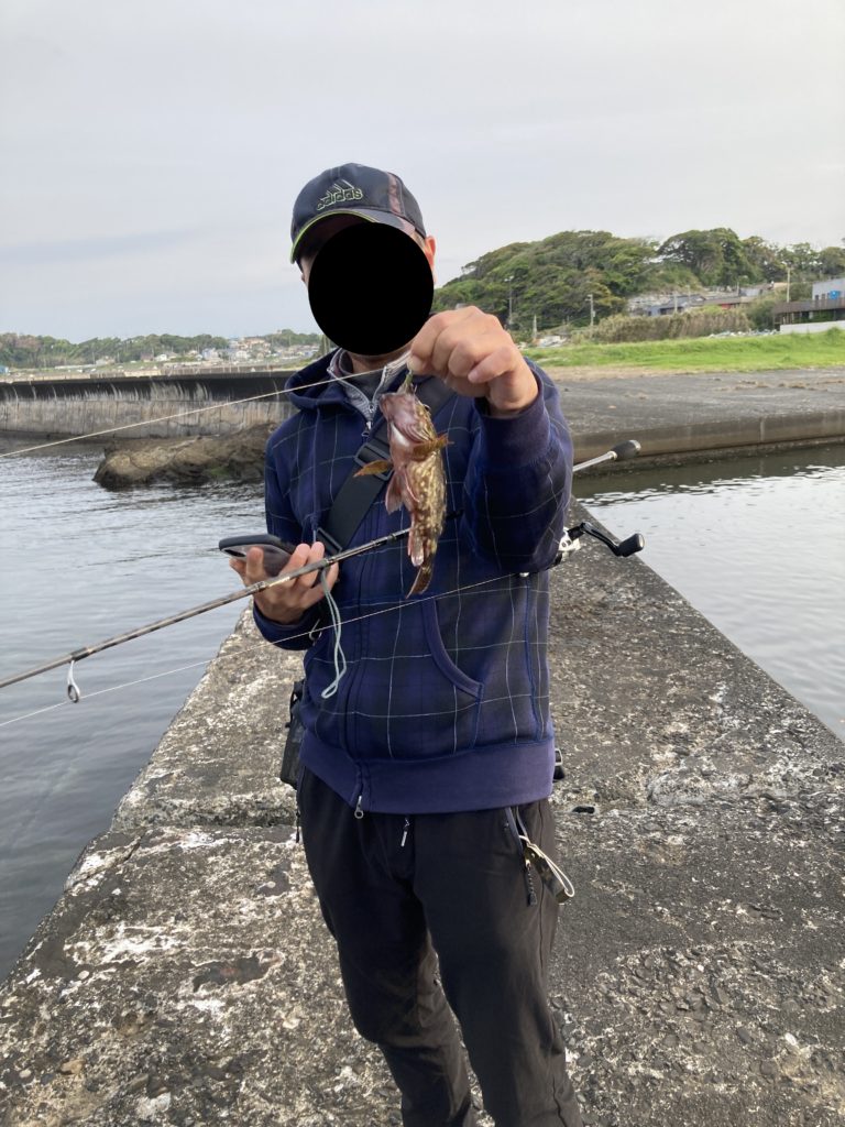 和田長浜海岸から歩いていける堤防釣りでカサゴを釣る