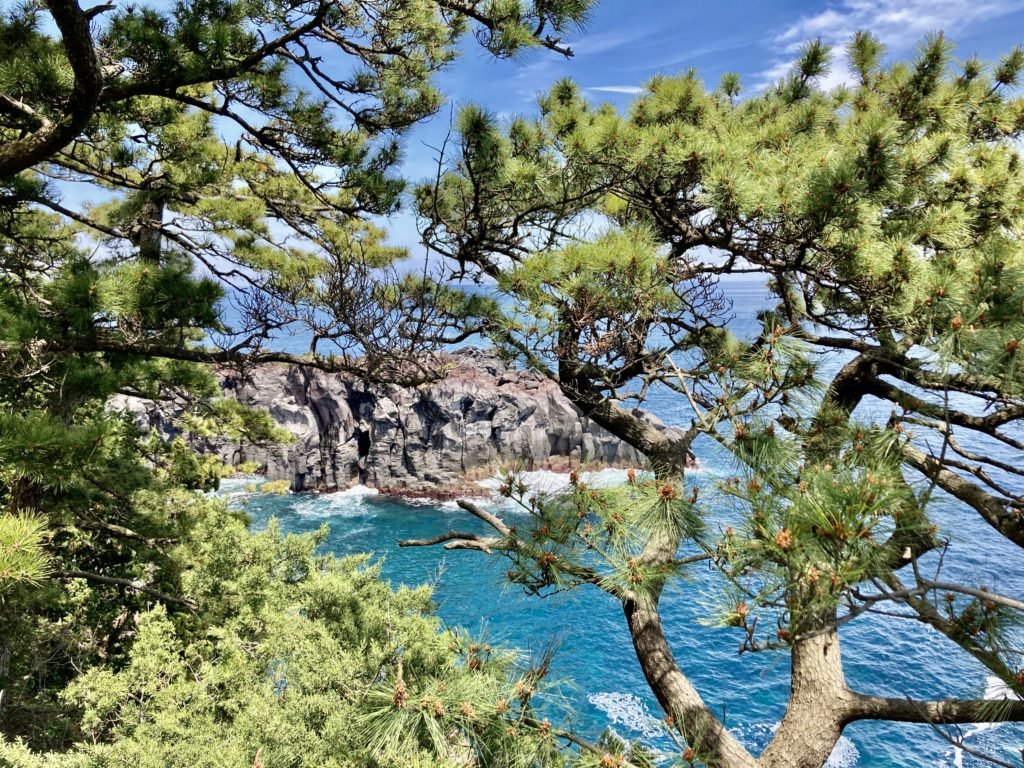 城ケ崎海岸の展望台からの風景