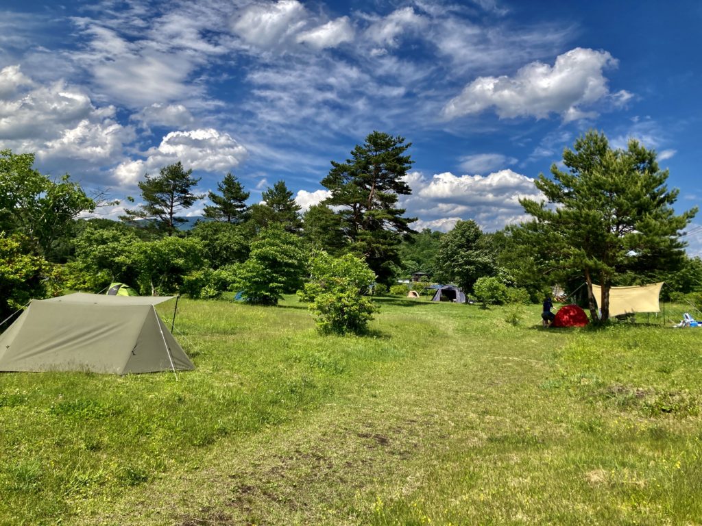 バラキ高原キャンプ場のフリーサイト風景