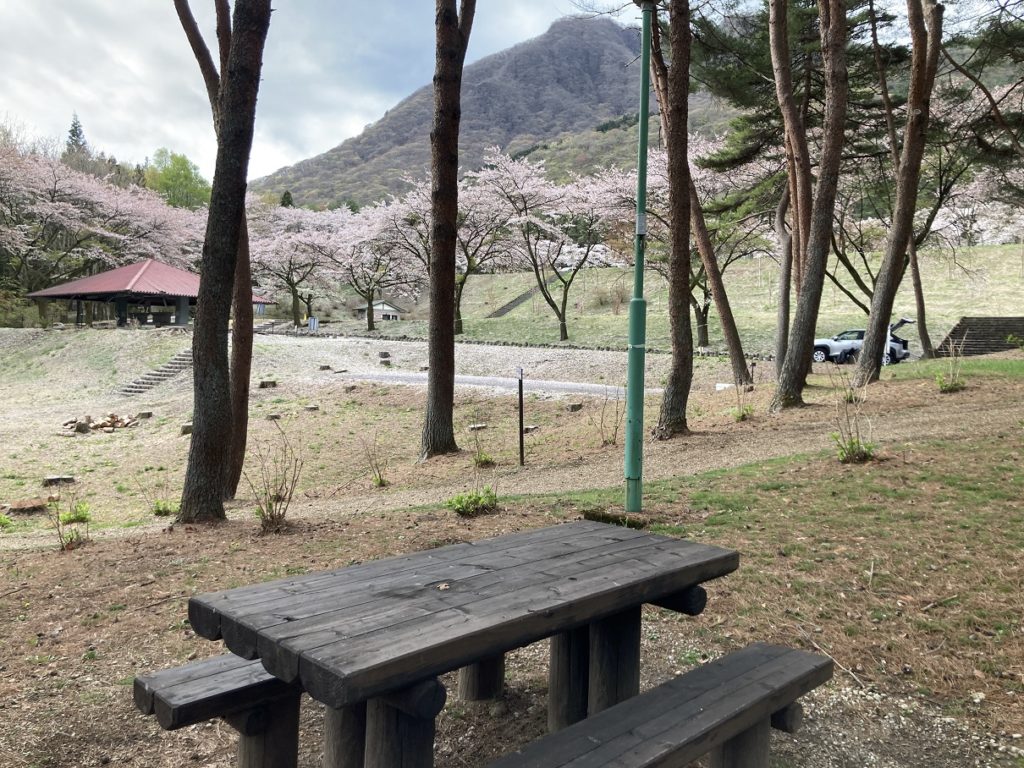 渋川市総合公園キャンプ場の区画1のベンチから見た花見の風景