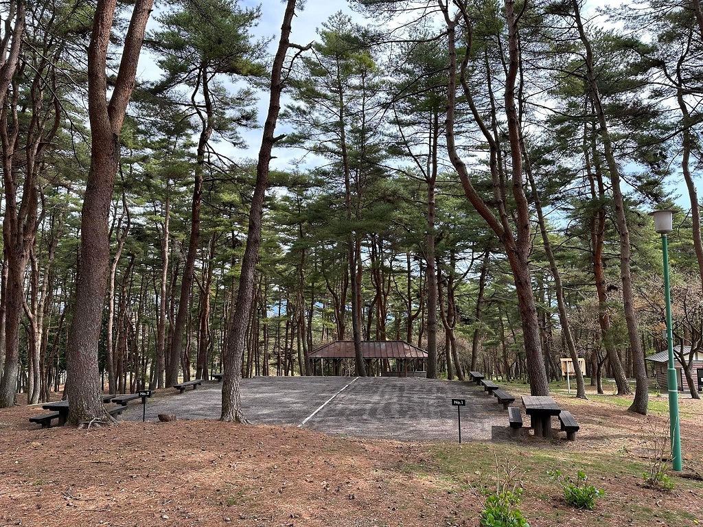 渋川市総合公園キャンプ場の区画1と区画2　連結して146㎡（70+76㎡）