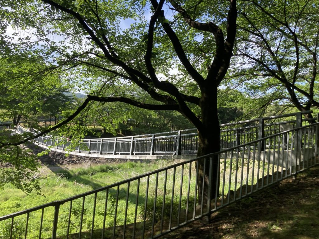 沼尾川親水公園キャンプ場と公園を繋ぐ橋