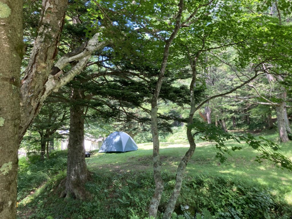 ヤマボクグリーンサイトキャンプ場の傾斜の激しい森林側のフリーサイト