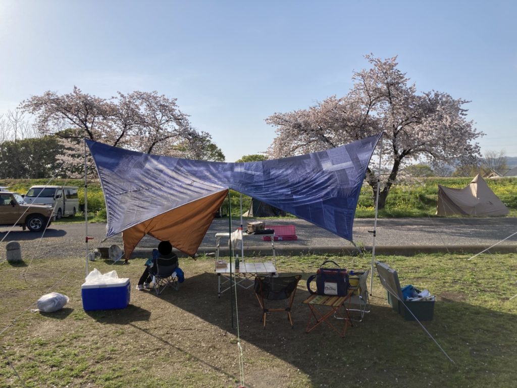 かんなの湯「神川ゆ～ゆ～ランド自由広場無料キャンプ場」桜が綺麗に見れる位置にタープを展開