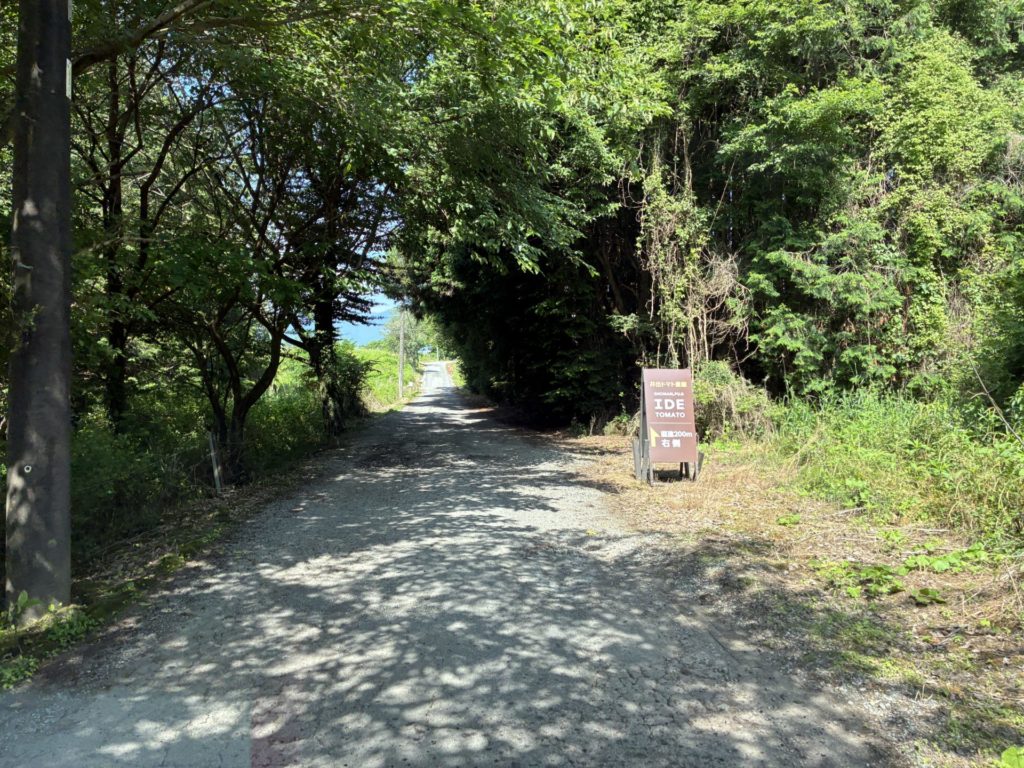 富士高原トマトフィールドキャンプ場への最後の道