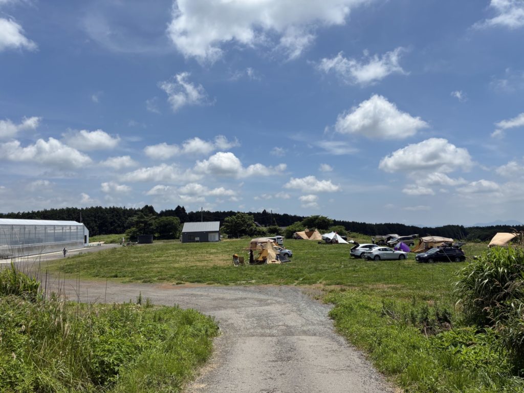 富士高原トマトフィールドの1段目のトマトの原っぱ　フラット！