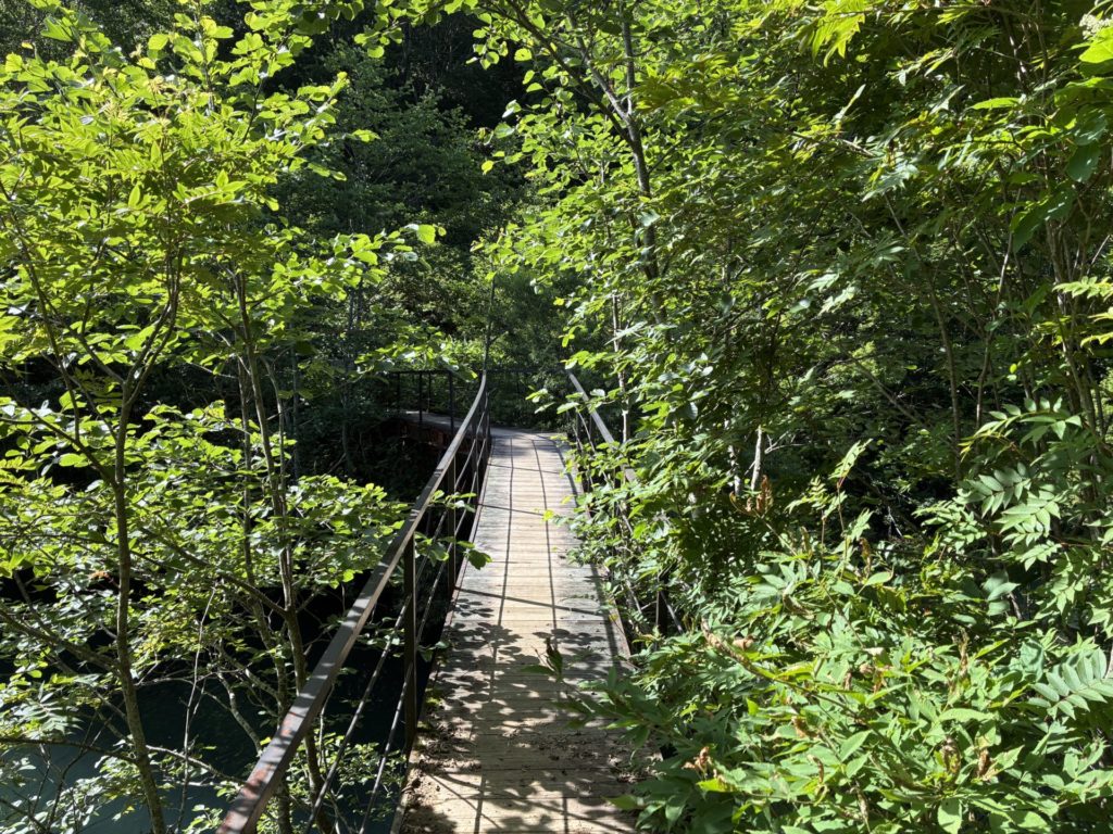 野反湖キャンプ場　吊橋でショートカット道