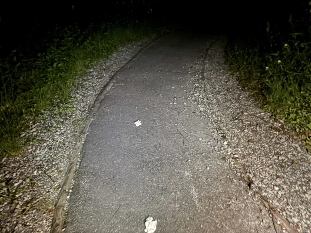 野反湖キャンプ場テントサイトまでの道は夜は真っ暗