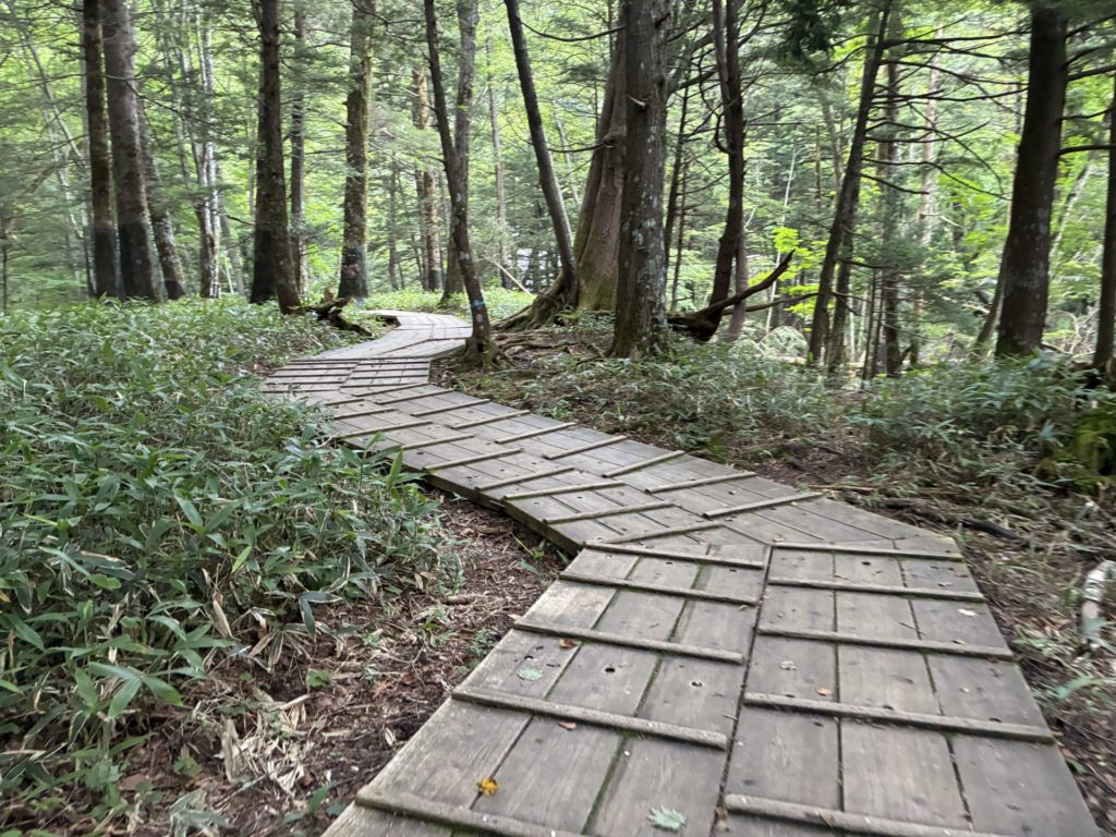 湯滝から小滝までの道