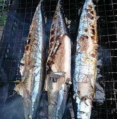 バーベキューと秋刀魚